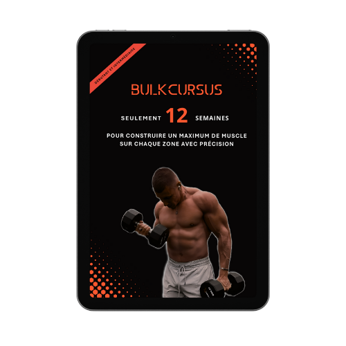 Programme BULKCURSUS – Homme (12 semaines)